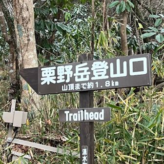 さぁ。登ります⛰️