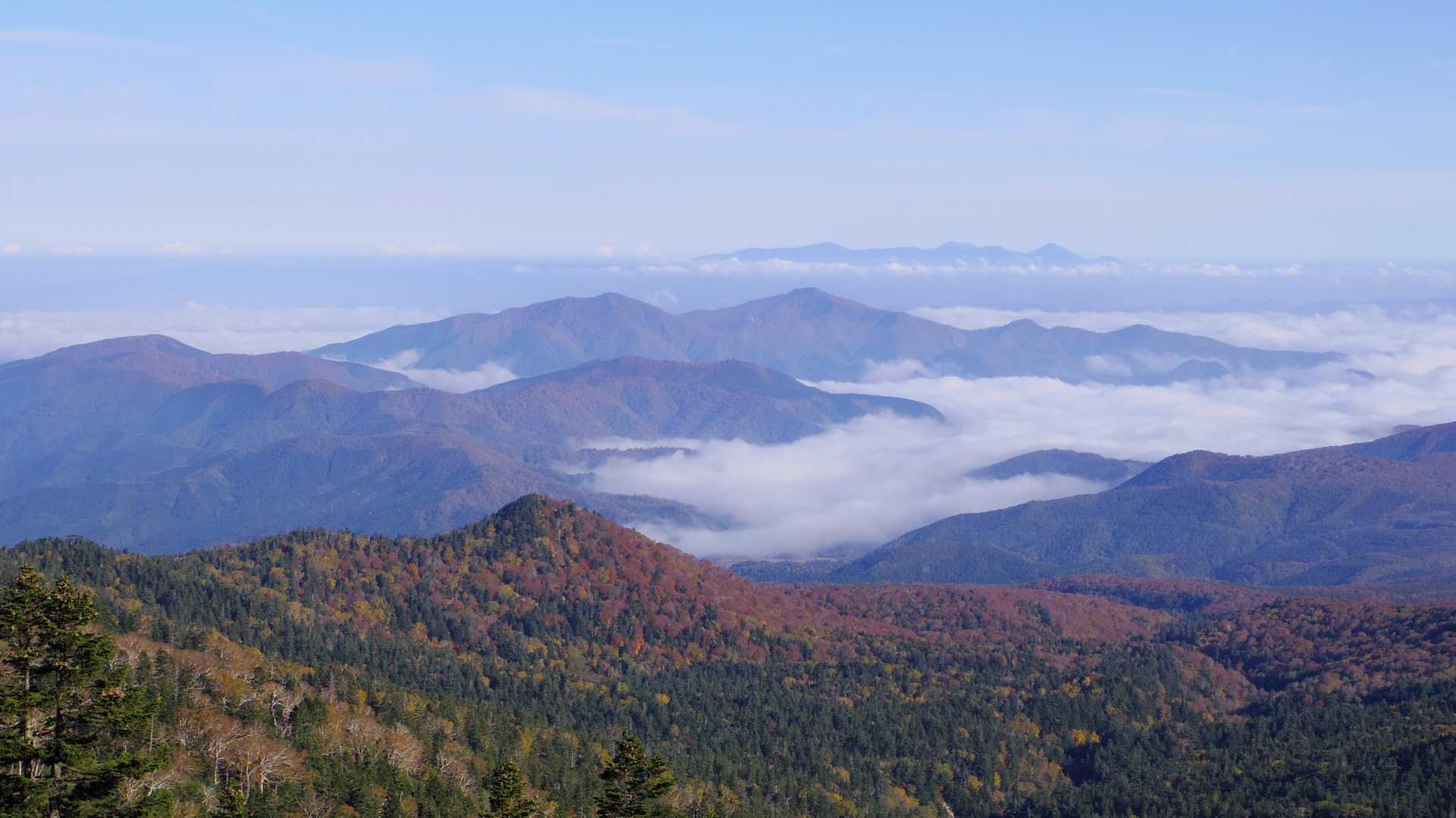 赤く色づく山
奥に八甲田山
