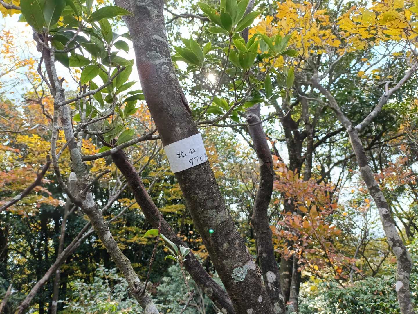8:45 北山に到着
