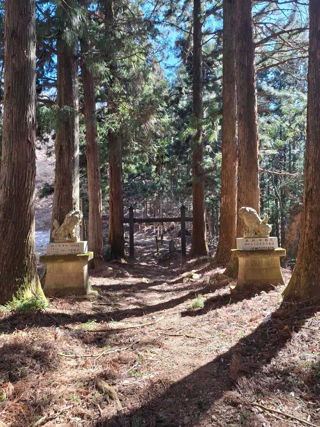 鐘掛城-城峯山 往復コースの写真