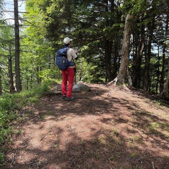 ここは中禅寺山だそーです⛰️