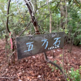 今日イチなだらかな山道を歩いて五万石
…ただ…行く価値は…
今日唯一の展望無し山頂でした