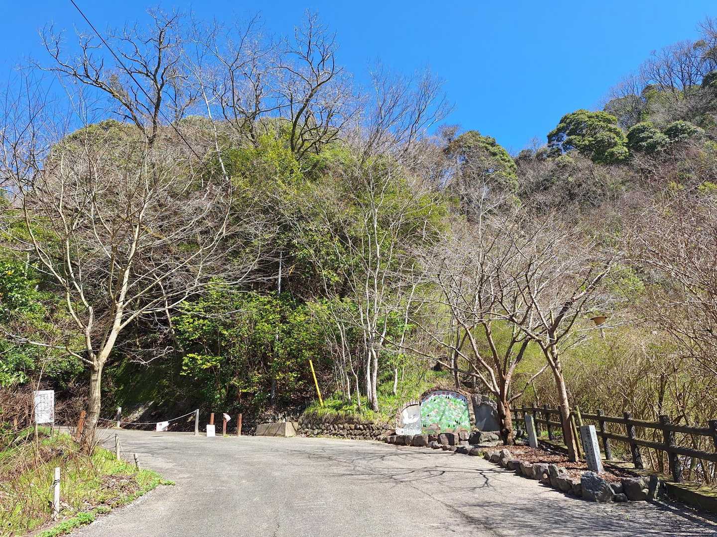 入口の桜の開花はまだです。