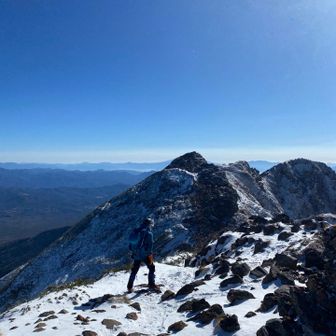 風速15メートルをフラフラしながら歩いてる💦
後ろから眺めていると、こんなにフラフラで大丈夫かなぁ〜と思ってしまいました😅💦