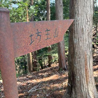 通り過ぎるところだった！
渋めな案内ありがとうございます