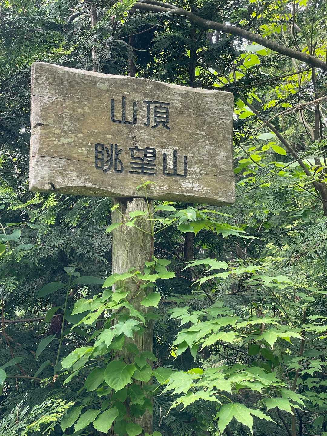 んーー💦もう山頂⁉️
今日も見れない？それとも、花は終わってしまった？