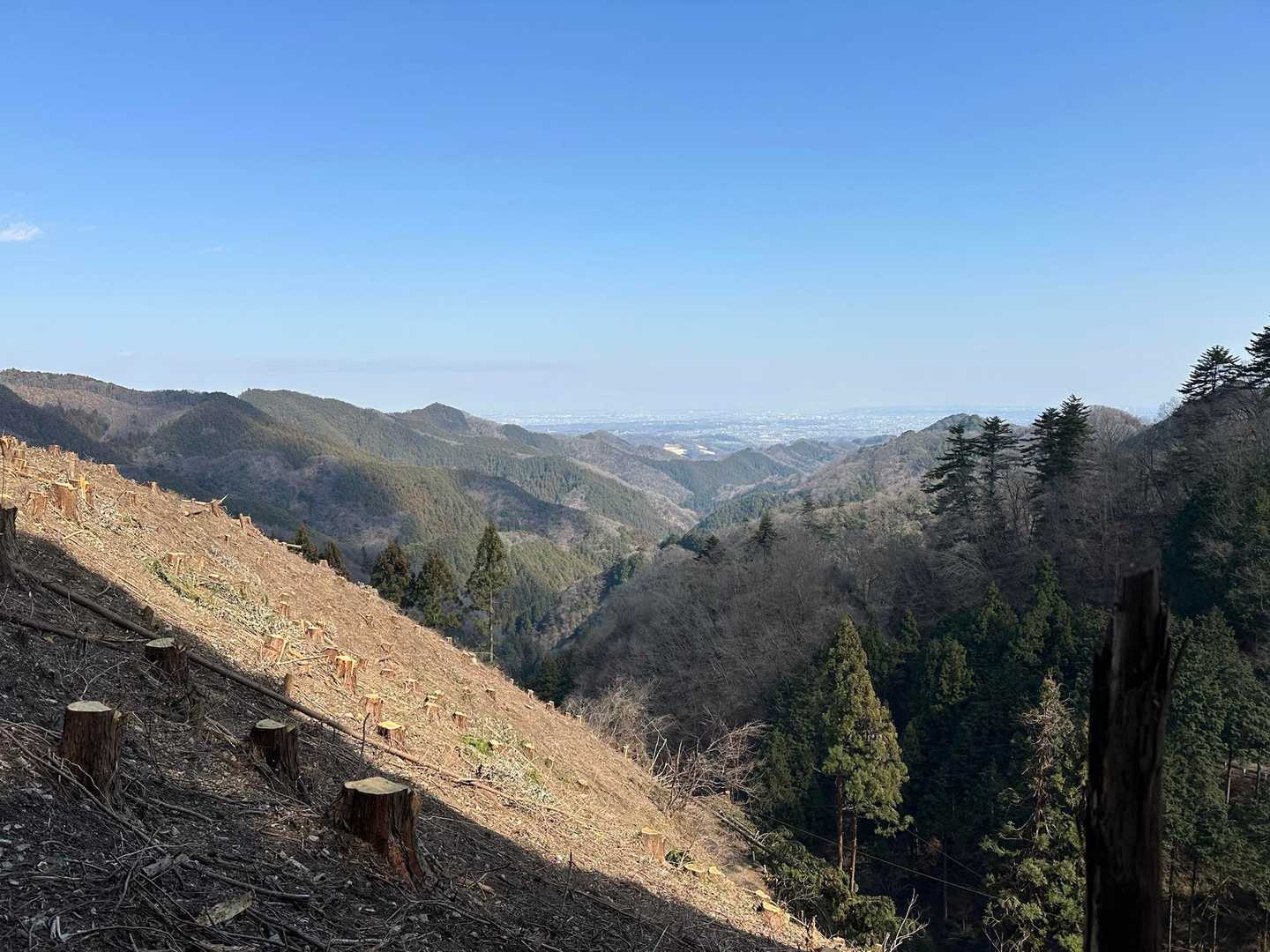 臼杵山-石津窪山-市道山-栗ノ木沢ノ頭-鳥切場-旧入山峠- 縦走コースの写真