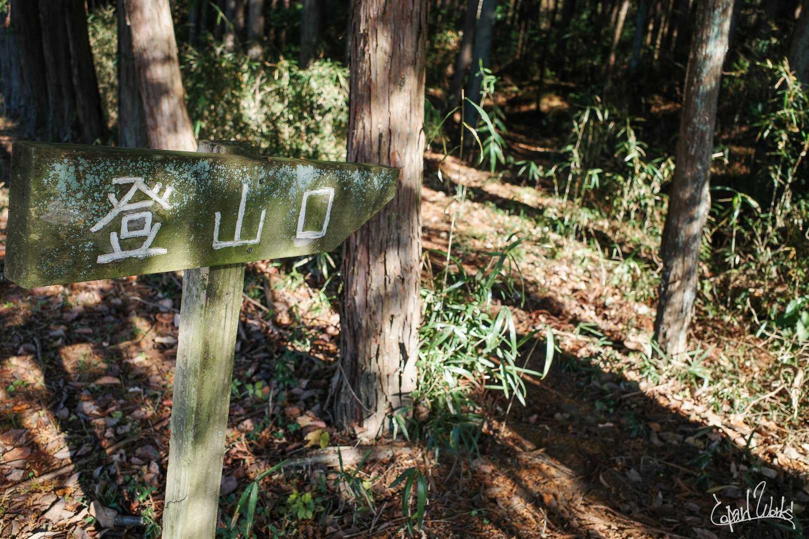と、子どもの森公園入り口手前に登山口の看板