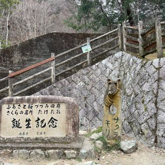 親水広場
桜の園はまだ開花しておらず