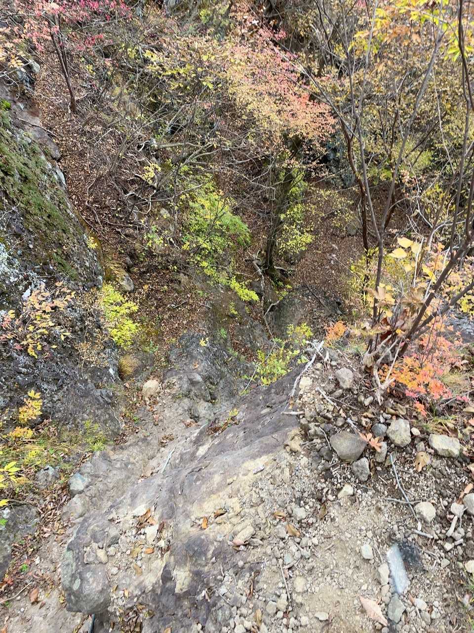 登りきって上から撮影したものです。写真では伝わりませんがえらい怖いです。