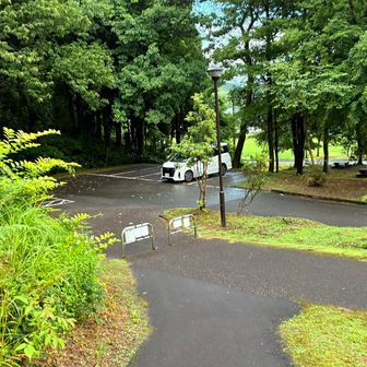 響きの森公園里山駐車場🅿️
車は1台
天気は小雨☔️