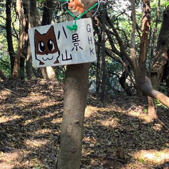 これもあっという間に八景山登頂です。