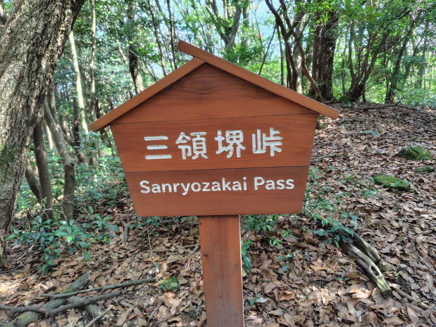 九千部山 往復コースの写真