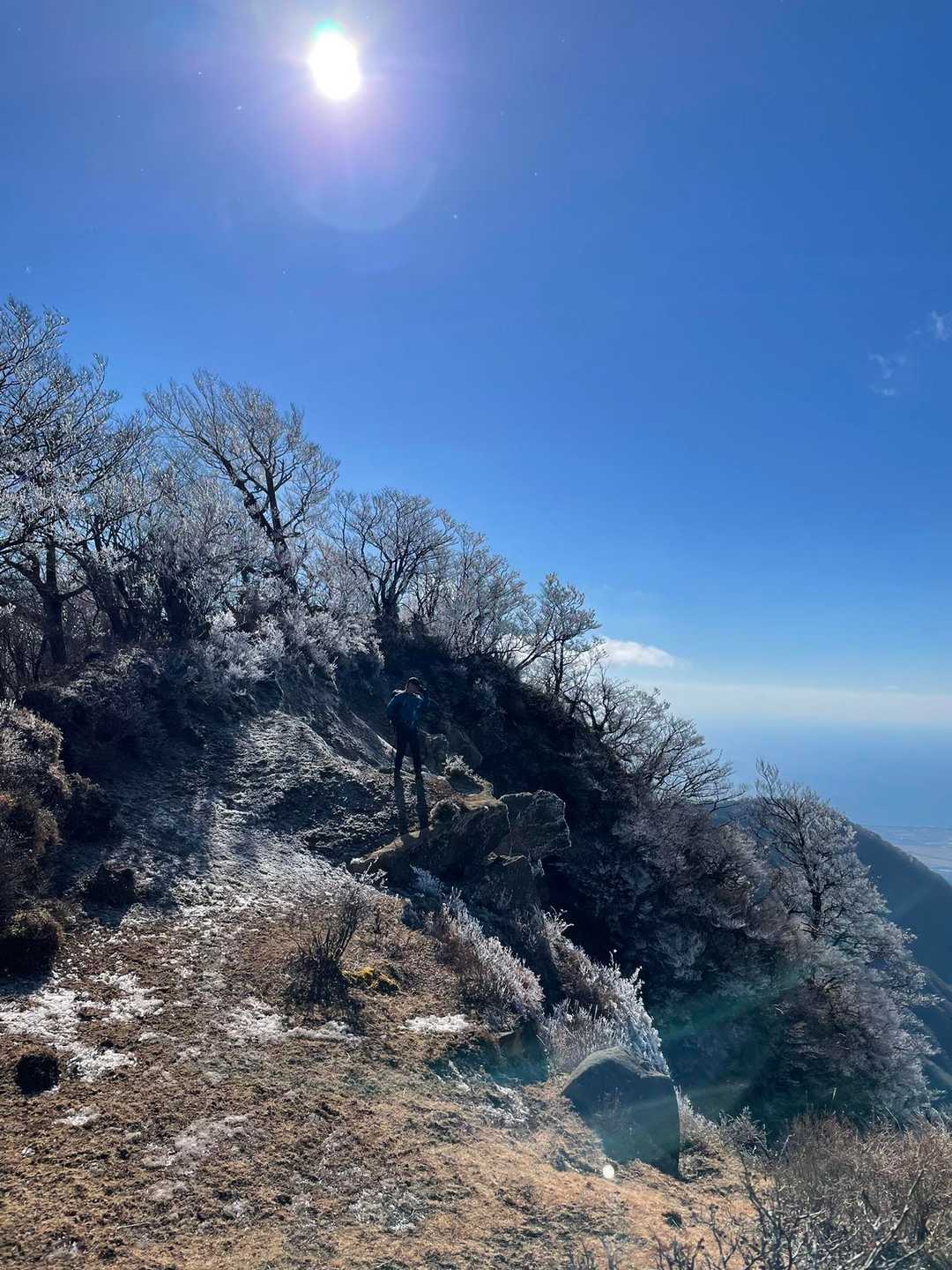 位牌岳-一服峠-袴腰岳-馬場平-愛鷹山 周回コースの写真
