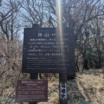 意外とハードな道の先の神山。ここでUターン