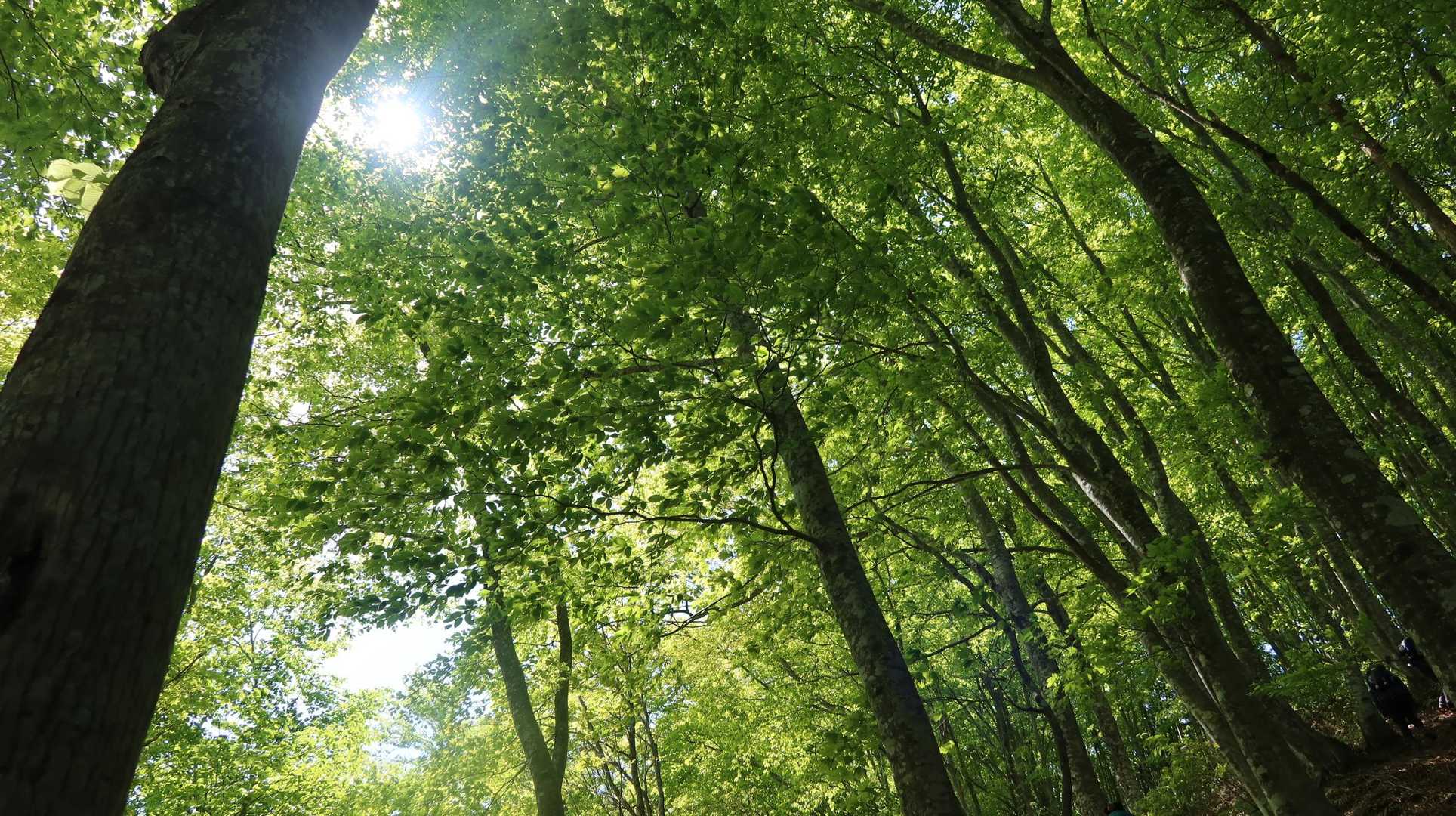 稜線を抜ける風が心地よい瞬間🍃