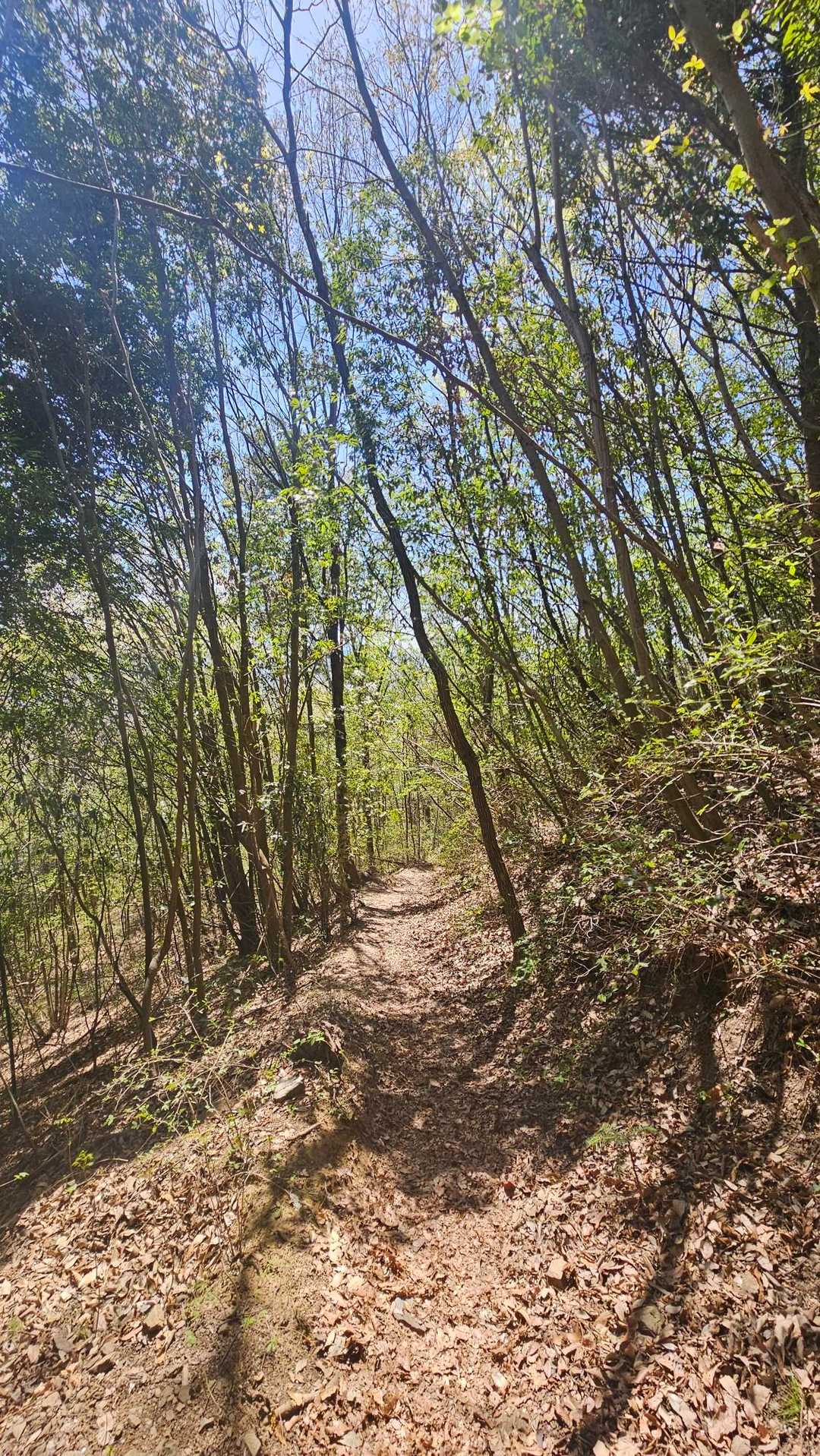 和銅製錬所跡-簑山 往復コースの写真