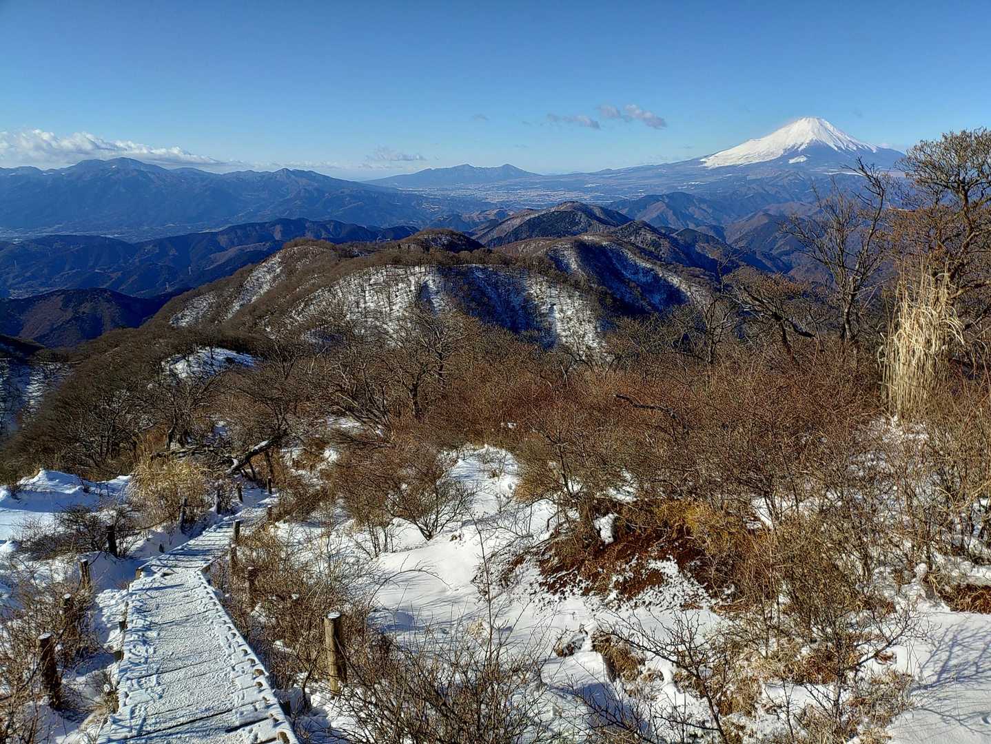寄バス停-櫟山-栗ノ木洞-後沢乗越-鍋割山-小丸-花立ノ頭 縦走コースの写真