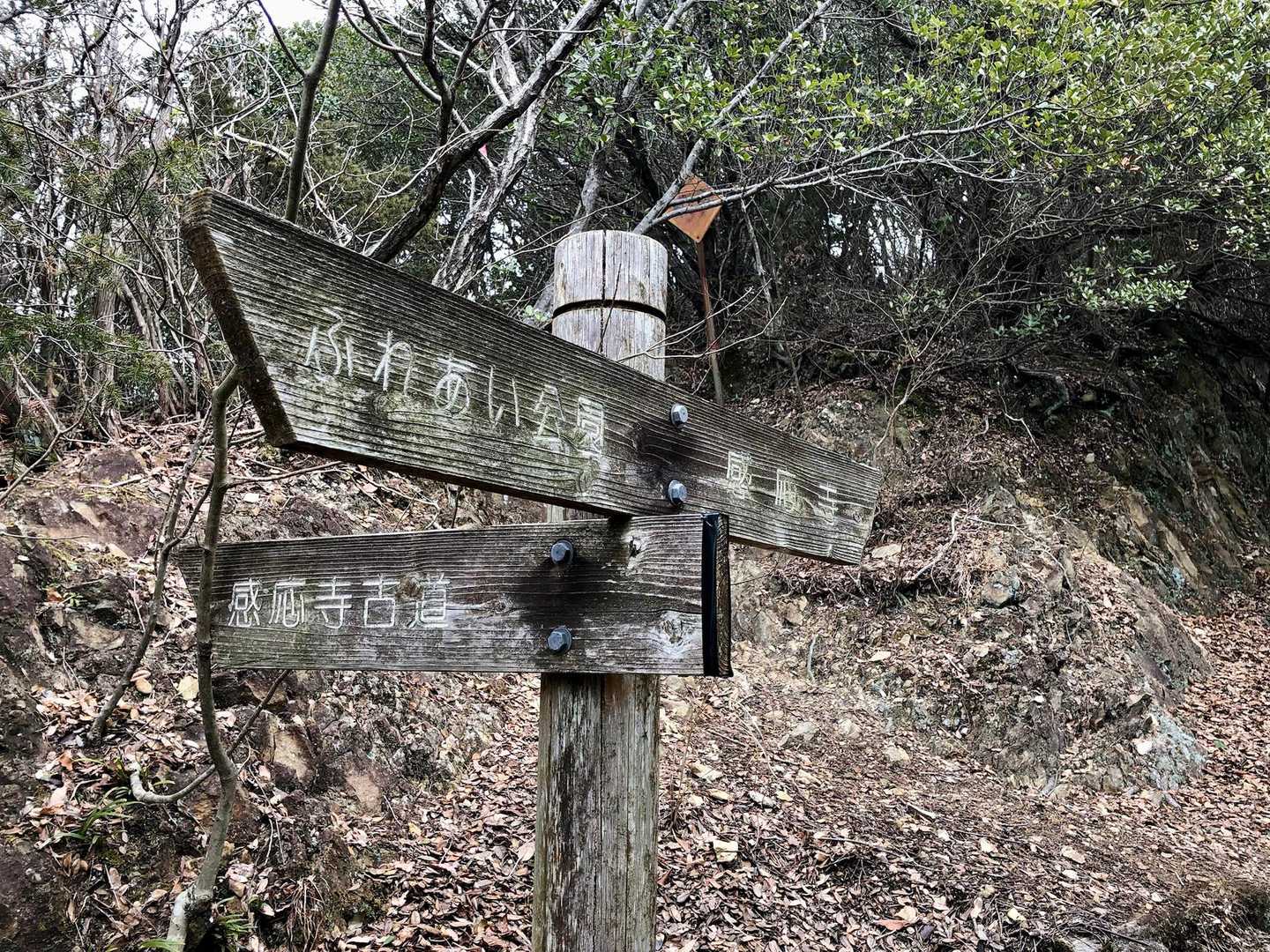古道は展望なさそうなんで、右→へ進みました！