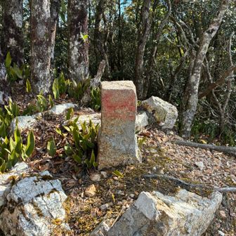 八祢宜山頂上
境界石