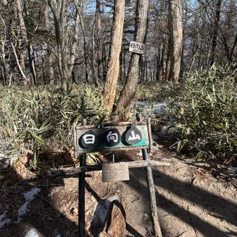 あっという間に山頂。分岐の看板に山頂まで5分と有りますが、30秒ほどで着きます☺️