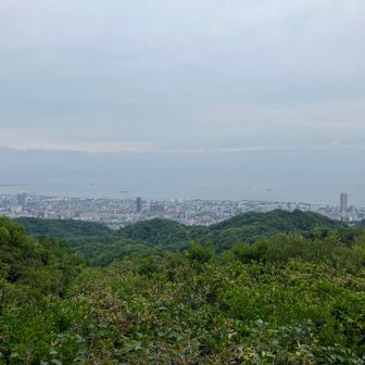東山⛰️山頂から