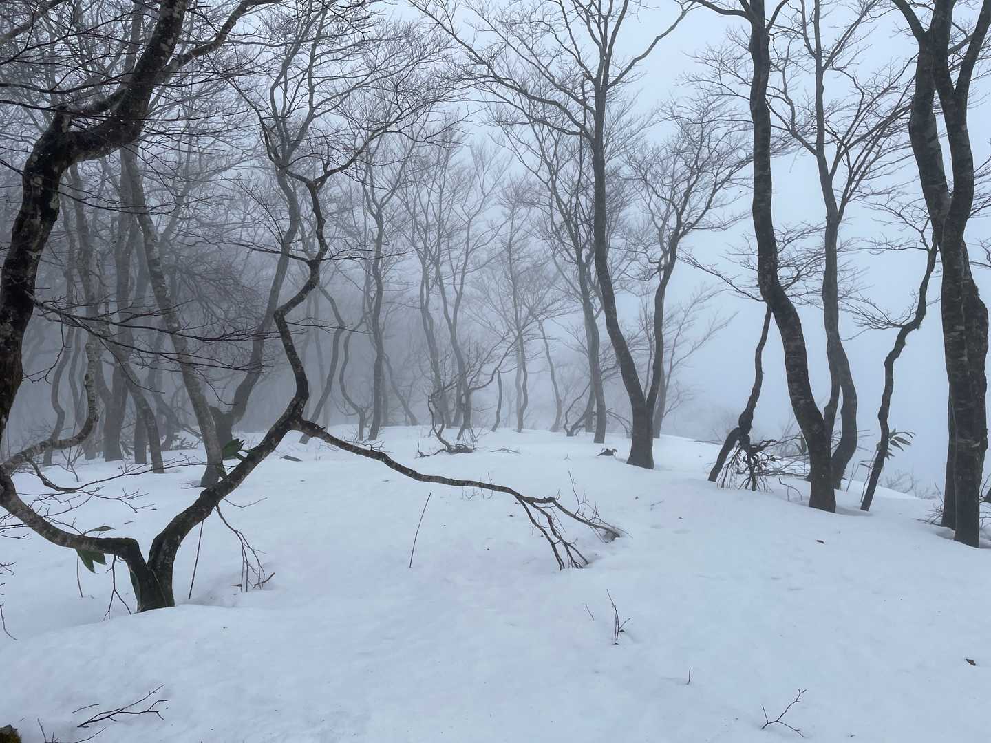 大柴山の写真