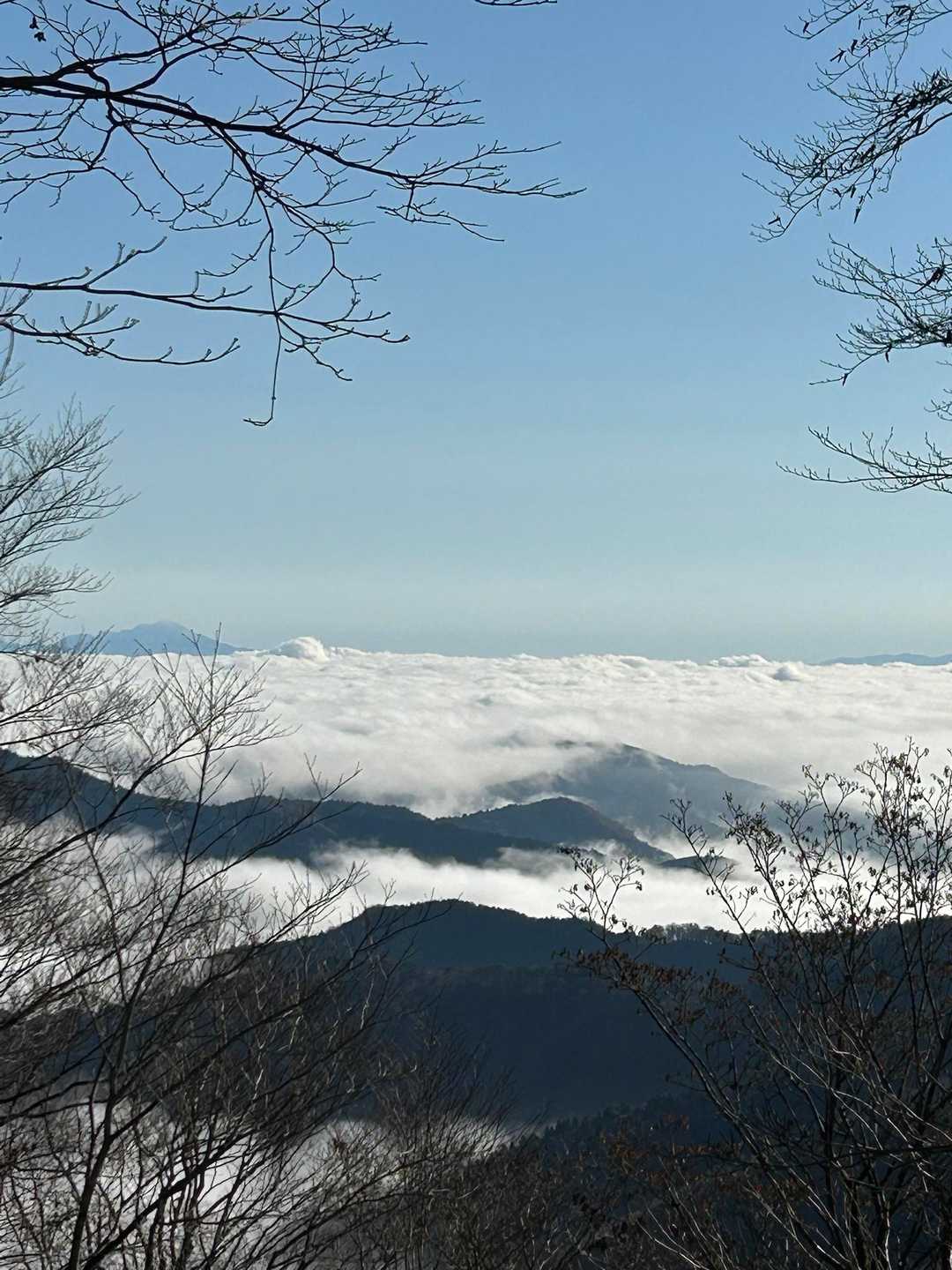 琵琶湖の上は一面に雲海✨✨
伊吹山も白山も見えました✨✨