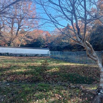 登山口の手前にある竹中半兵衛の墓所にお参り。