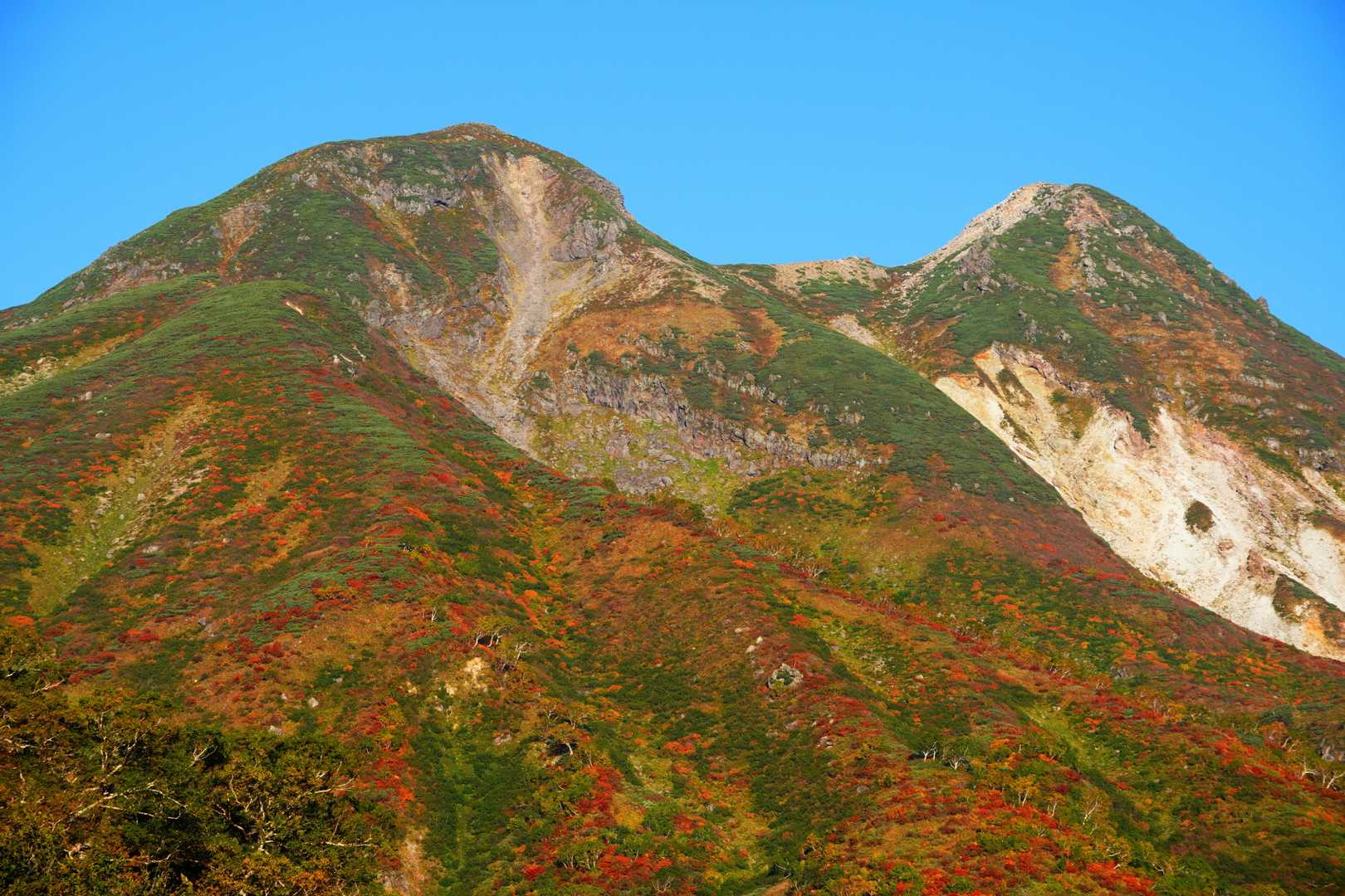 平瀬道登山口-室堂センター-白山 往復コースの写真