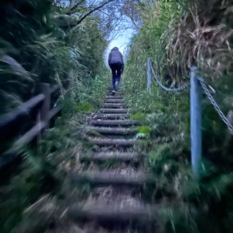 見えるかなぁ

年始ハイキングは、もはや諦めて文句言わない👦🏻