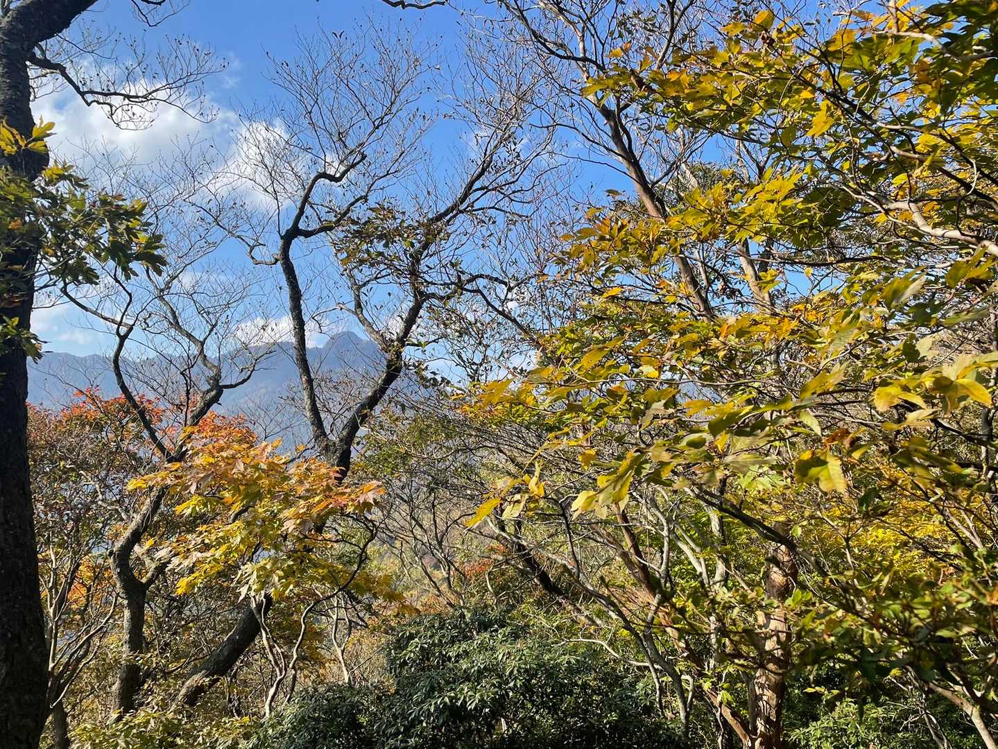鎌ヶ岳😉
あそこまで行ってみたいなぁ