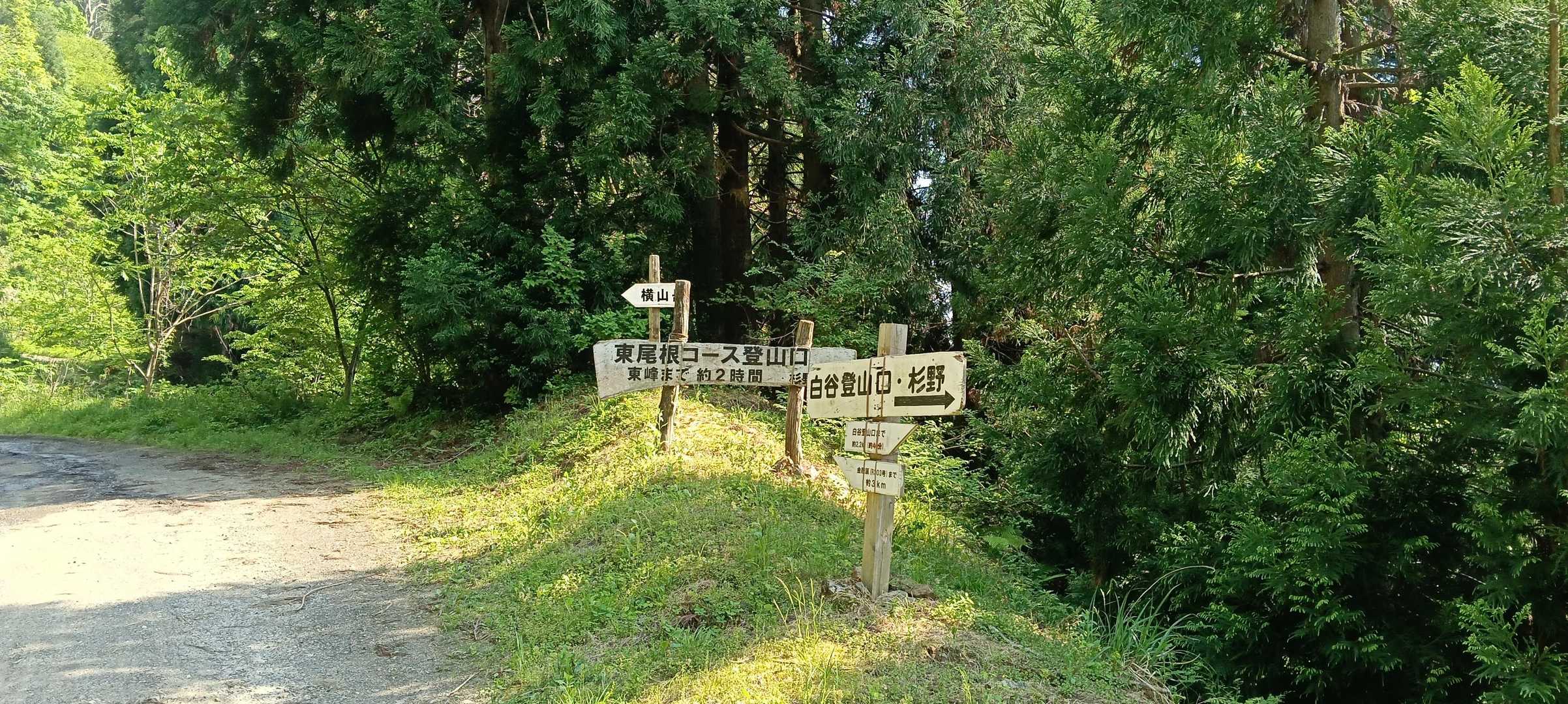 東尾根登山口の分岐です。
白谷登山口へは40分の林道歩きです。