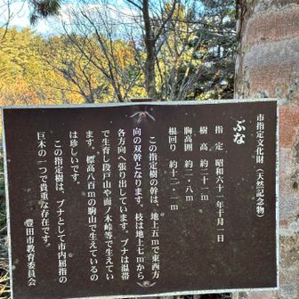 
ふむふむ、へーそーなんだー！