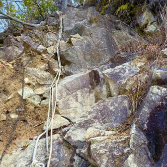 おっと、一般コースっすよね〜😳🤩