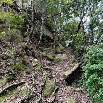 雌岳の登り口に戻りました。