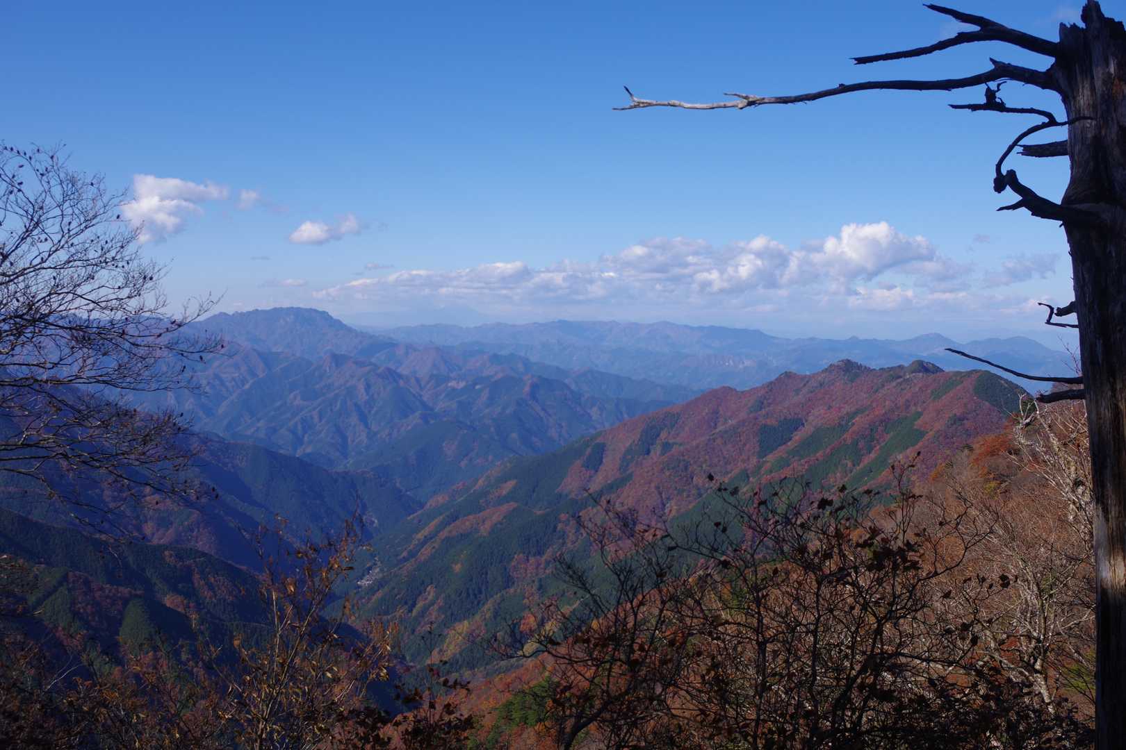 秩父方面は奥に両神山から右手前には酉谷山から続く熊倉尾根を望むことが出来た。南西方面？は意外にも自然林が多いようだ。