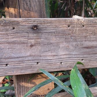 閑居山山頂標
近付いて見てみると…
山名が手彫りされてる?!