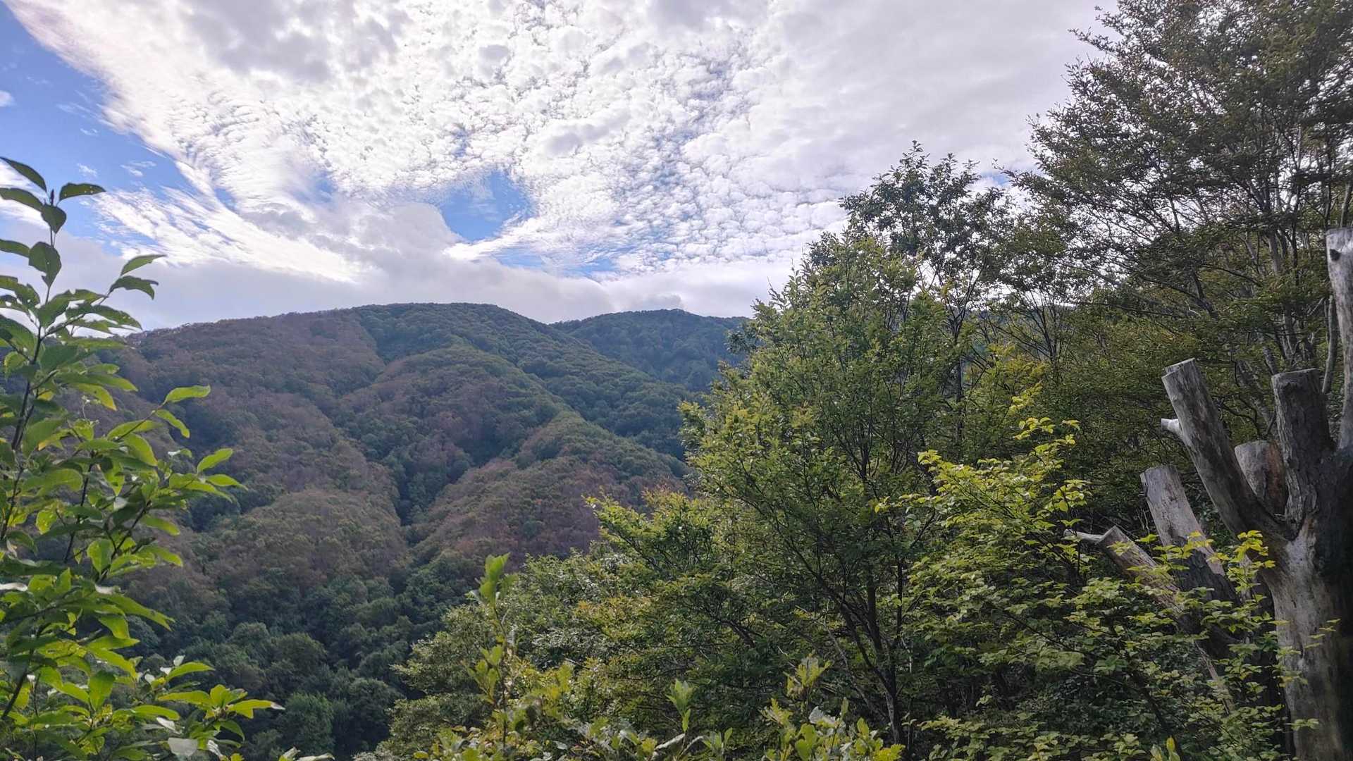 白兎口-奥の院 往復コースの写真