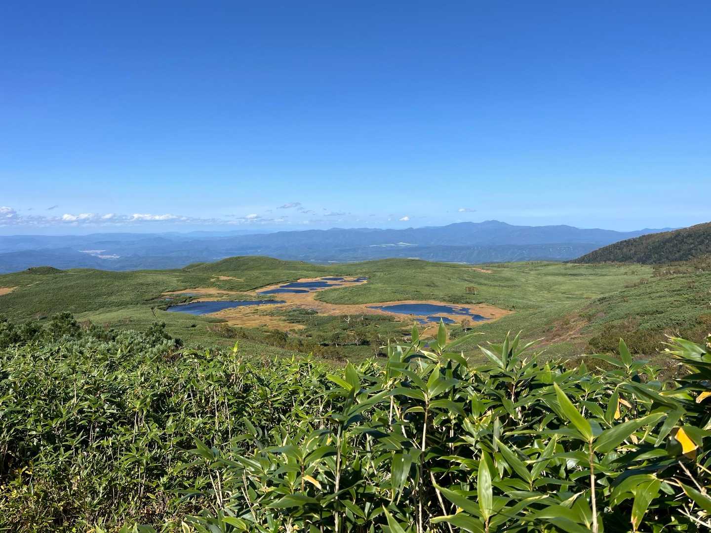 愛山渓登山口-沼ノ平-当麻乗越 往復コースの写真