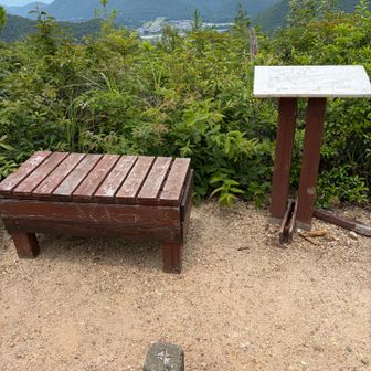 野一色権現三角点