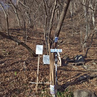 親切に杖がたくさん用意されている。