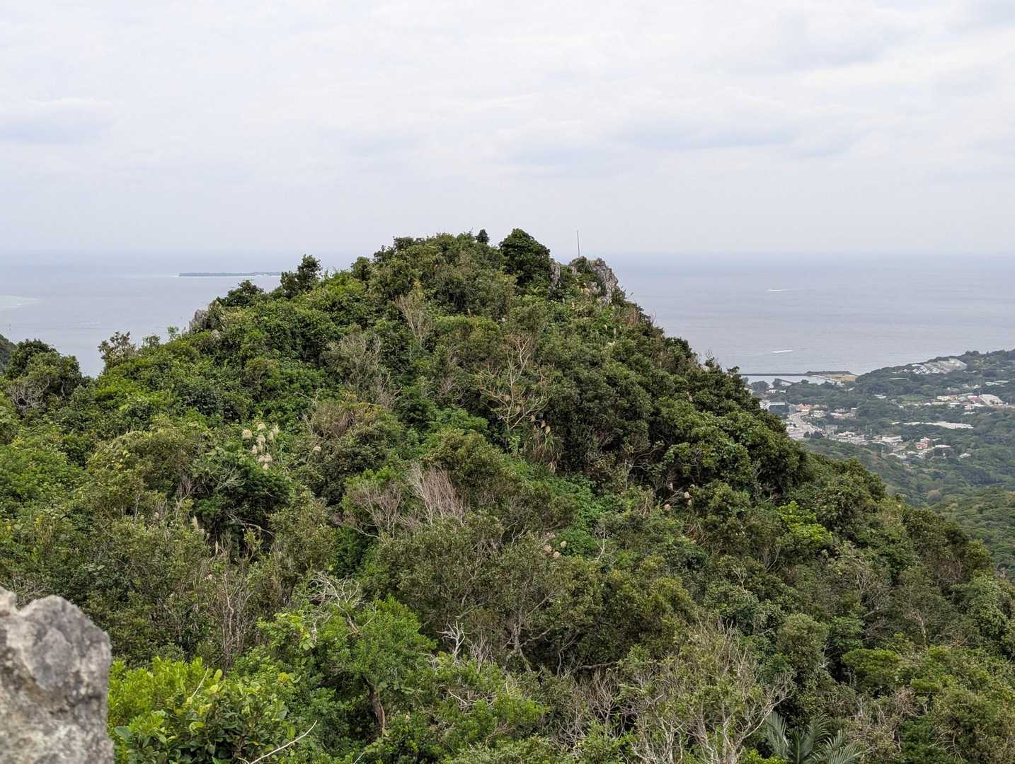 アチラが山頂の様です