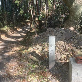 寂厳堂との分岐まで来たら、右に「賽之神」の石柱を見て