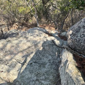 チェーンで下りましたが、ちょっと周れば普通に下りれます