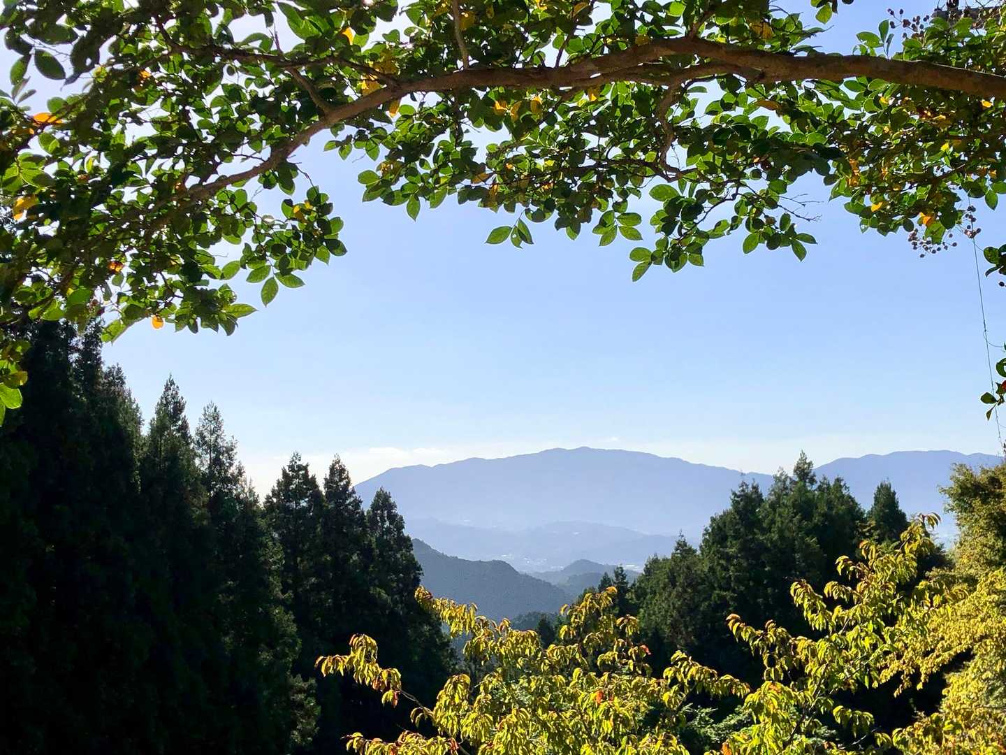 多武峰⛰️へいく途中
陸橋からみえる山⛰️