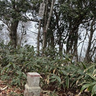 まずは山頂ゲット。