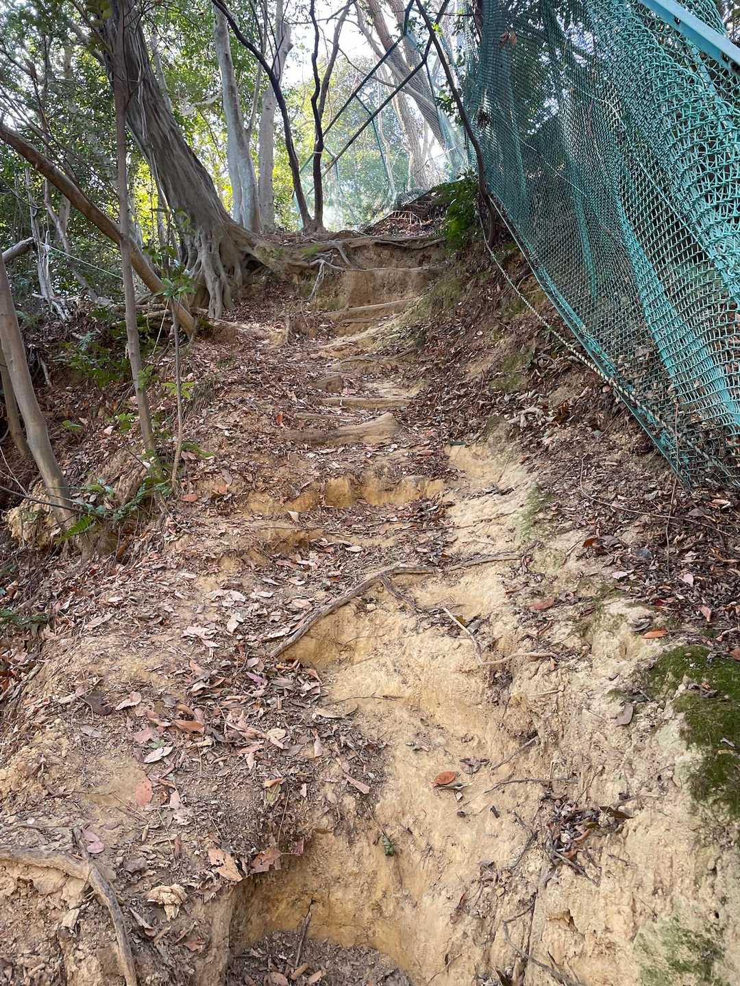 突然、急勾配

そういえば、神社手前ですれ違ったおじさま、
フレンドリーに沢山お話ししてくれ😄
神社からちょっとしんどいよー💦言うてはったけど