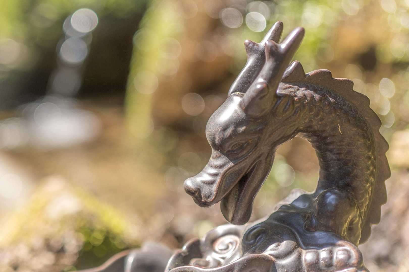 龍神様も笑ってみえる✨