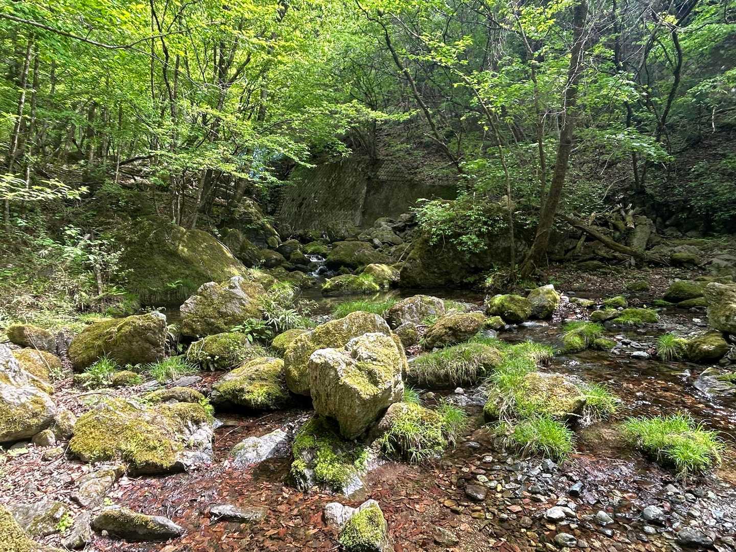 途中通行止めになってるけど迂回路があるので大丈夫👍迂回路は分かりにくい箇所もあり、後方から来た方に先陣を切ってもらい無事に林道にたどり着けました😂ありがとうございました🙏